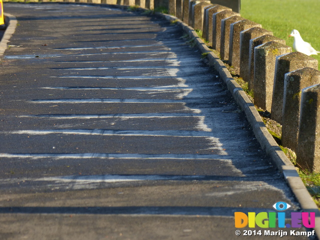 FZ010707 Frost in shadow of bollards